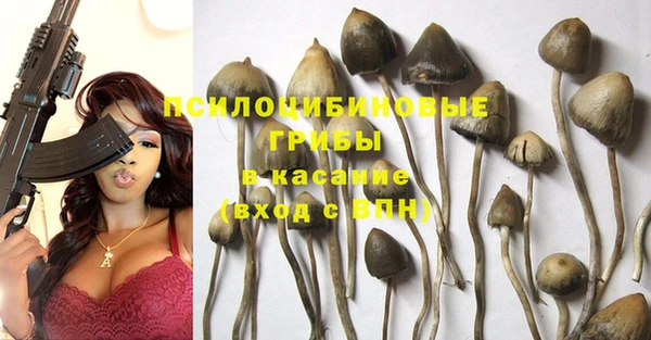 PSILOCYBIN Заволжск