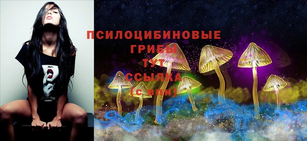 COCAINE Заводоуковск