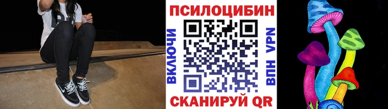 Купить  Каргополь  Галлюциногенные грибы Psilocybine cubensis 